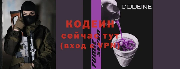 apvp Пестово